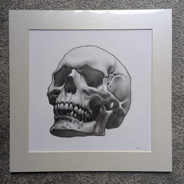 Graphite Skull #1