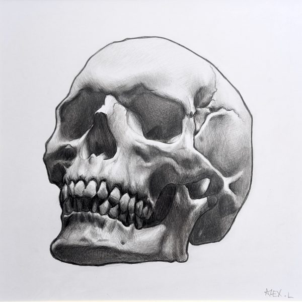 Graphite Skull #1